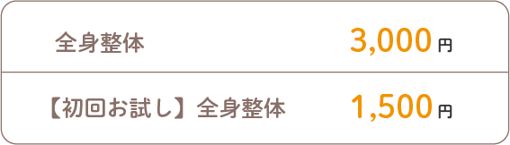 メイン治療【自費】